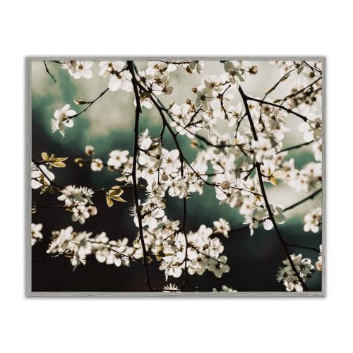 'Cherry Blossom Nature Photography'| Framed Giclee Art