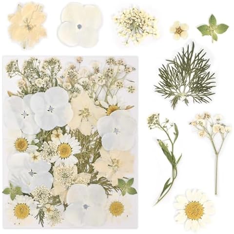 Cleminsta Fleurs Séchées Naturelles Cover
