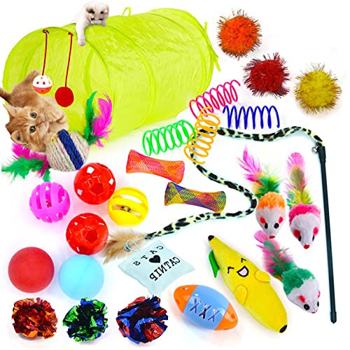 amazon.ae Best Sellers The best items in Interactive Toys for Cats