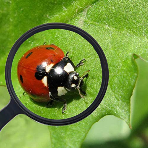 Toyvian 1 Unidade Lupa De Mão Lupa De Mapa Brinquedos Infantis Óculos De Aumento De Jóias Materiais