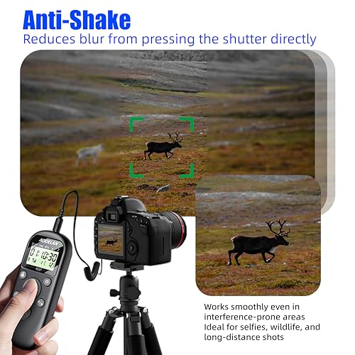 Intervalomètre à distance pour Sony A7 IV A7 III A6700 | Télécommande photo
