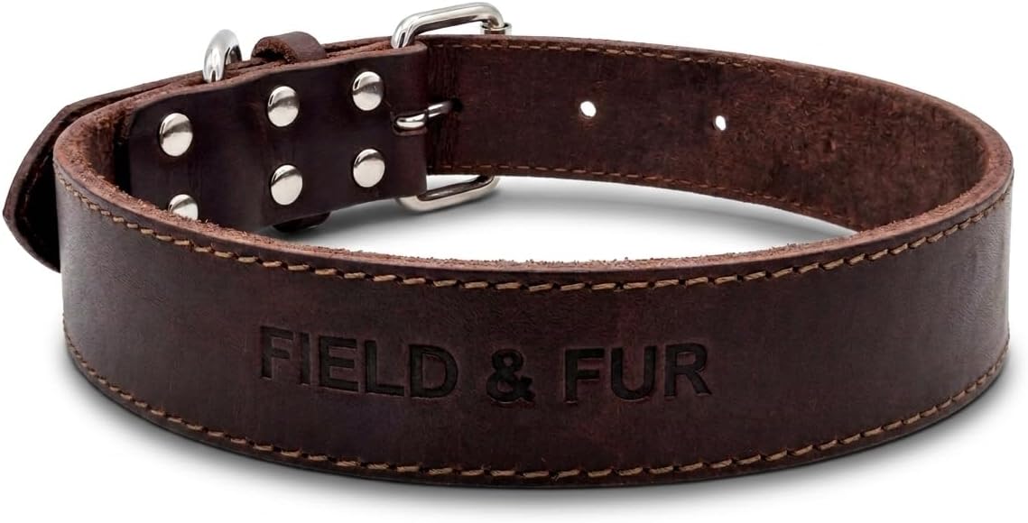 FIELD & FUR Full Grain Leather Dog Collar – Outdoor Dog Collar with Reinforced Stitching, Nickel Hardware, Adjustable Fit for Small Medium Large Dogs