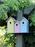 Garden Mile diverses Nouveauté Jardin Oiseau Nids très détaillé Predator étanche Oiseau Nichoir Oiseau Théière Bouilloire VW Campervan et Plus pour Petits Oiseaux Jardin Ornements
