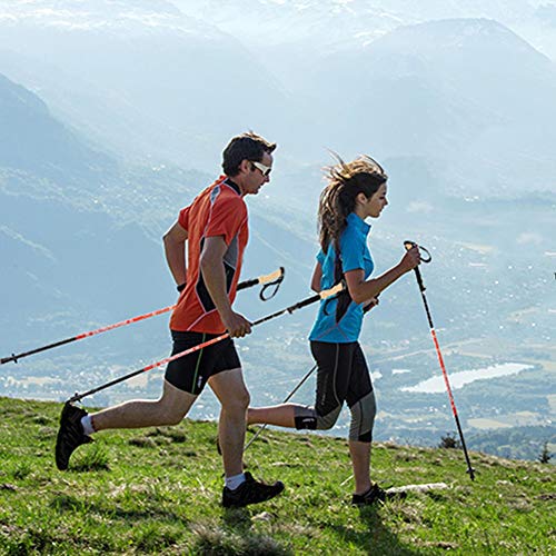 Bâtons de randonnée carbone soulagement des genoux et marche bleu