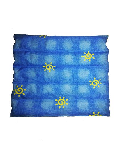 XV Car Water Cushion