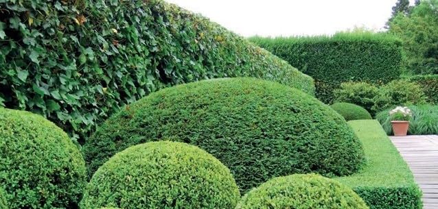 fertilizer dünger Greenscaping Dünger Basispaket main image 1