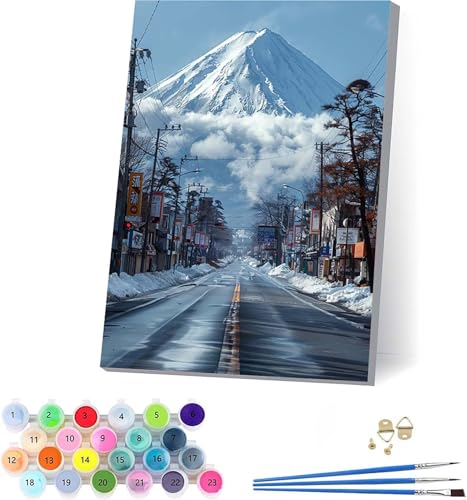 G xmR yCgoCio[ ʂ DIY Paint by Numbers LbghG h G fW^G uVƃANG̋ l̂߂̃NGCeBuȎ z[ ItBX Mtg 40x50cm t[t 4