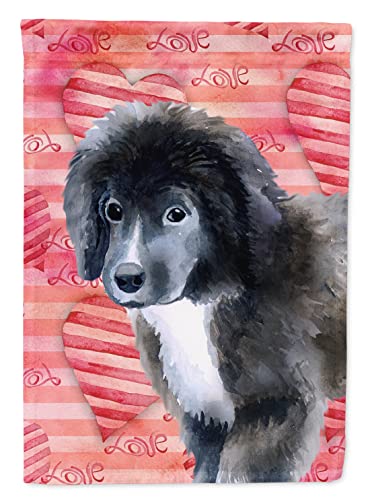 Drapeau Terre-Neuve grand format pour décoration extérieure et cour - 2