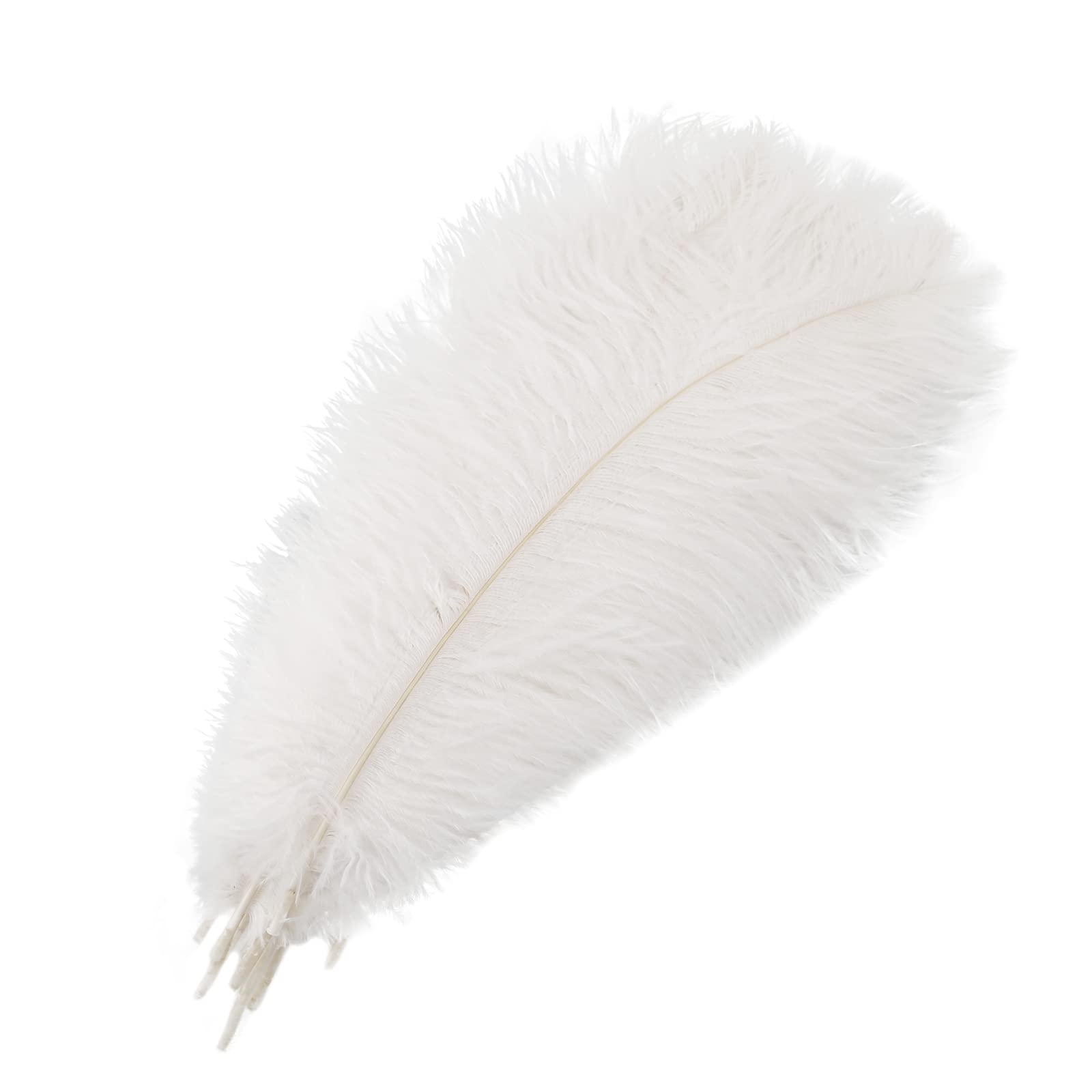 Fdit Natürliche Federn, Große Weiße Bastelfedern für Hochzeiten und Traumfänger, 20er-Pack, Einfach zu Verwendende, Elegante Dekoration (Kunststoffe 6)