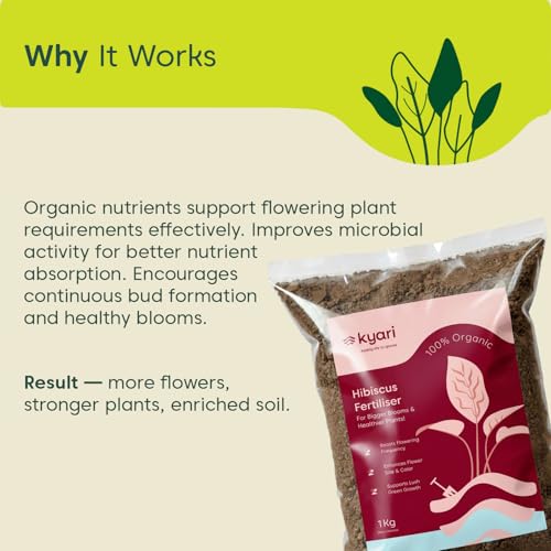 Image of Kyari Hibiscus (Gudhal) Fertilizer for Flowering Plants 1kg | Plant Food for Bigger Blooms, Greener Leaves & Stronger Roots | Nutrient-Rich Fertilizer for Home Garden Plants