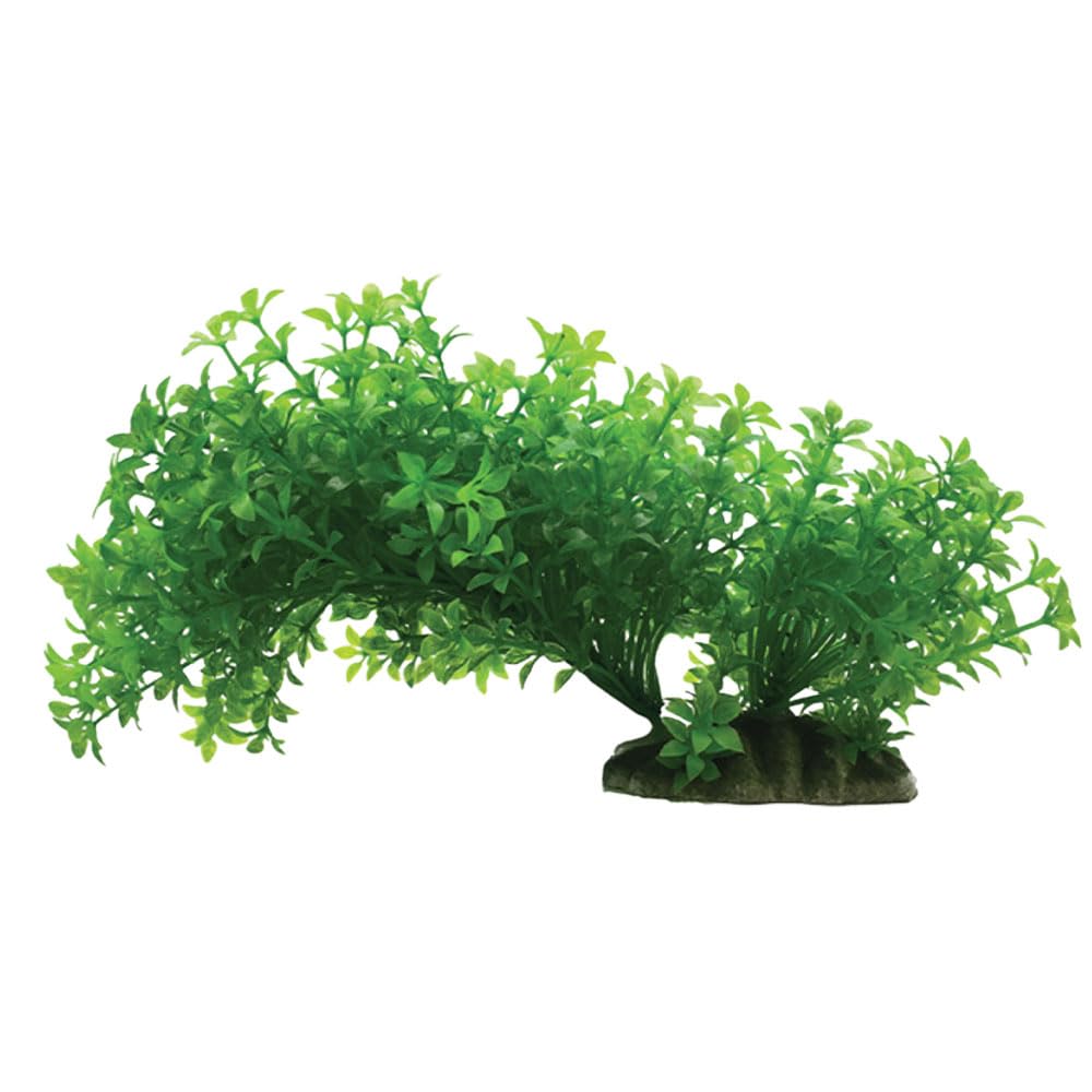 Swell Uk Green Swell Trailing Leaves Artificial Plant - Large Aquarium Décor