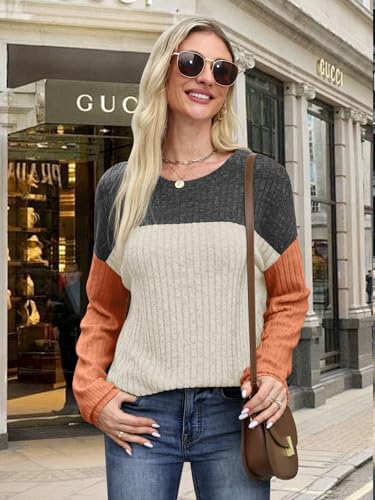 MixShe Womens Sweaters Color Block 2025 Fall Fashion Crewneck Tunic Tops S-XXL