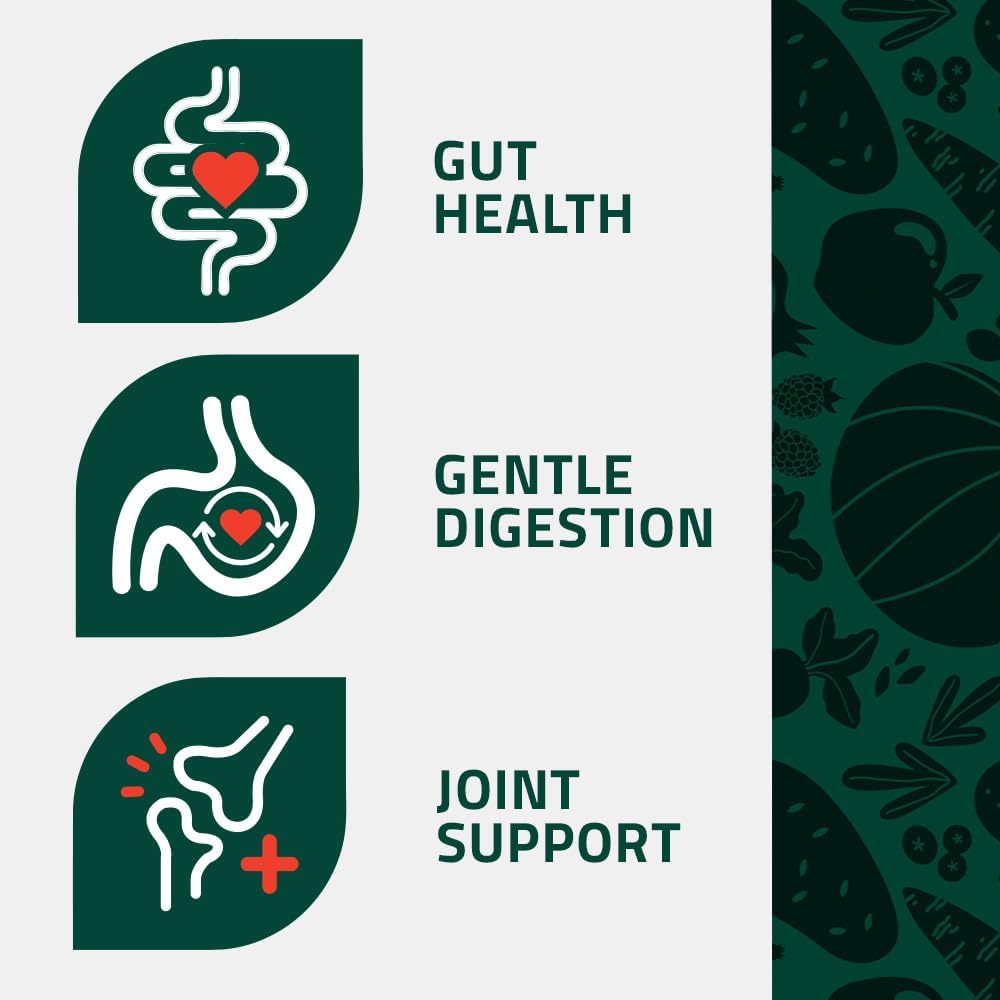 Arden Grange Classic Chicken Adult Dog Food 2kg