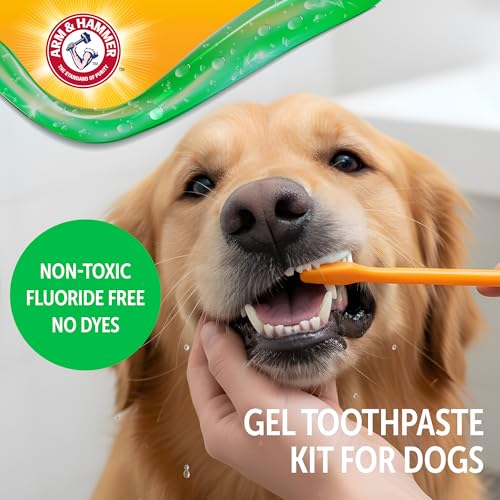 Image of Arm & Hammer Complete Care Dental Gel Dog Toothbrush Kit, Includes Gel Toothpaste, Toothbrush, and Finger Brush, Baking Soda Enhanced, Fluoride Free, Chicken Flavor, 2.5 Oz