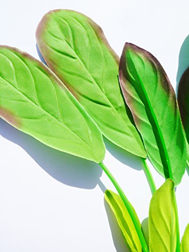 Acquario piante seta confezione doppia, grandi e