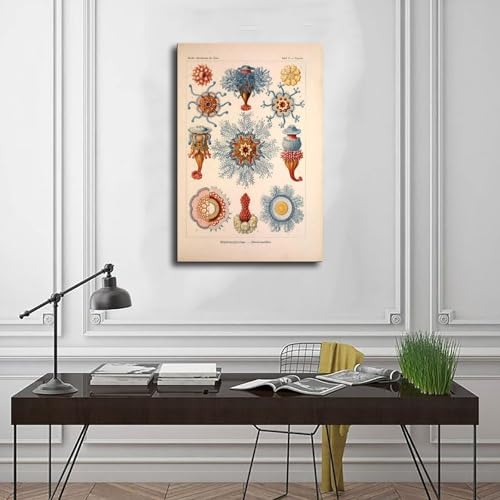 Cadre vintage créature marine grand format chambre