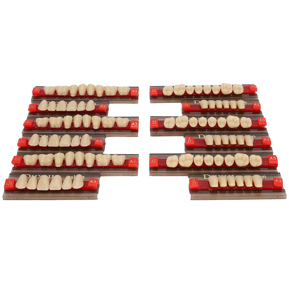 56 Pezzi Dente in Resina Sintetica, Strumento per la Cura dei Denti Della Protesi, Denti Dentali Completi in Resina, Denti Finti per Protesi in Resina, Denti dell'Orrore di Halloween