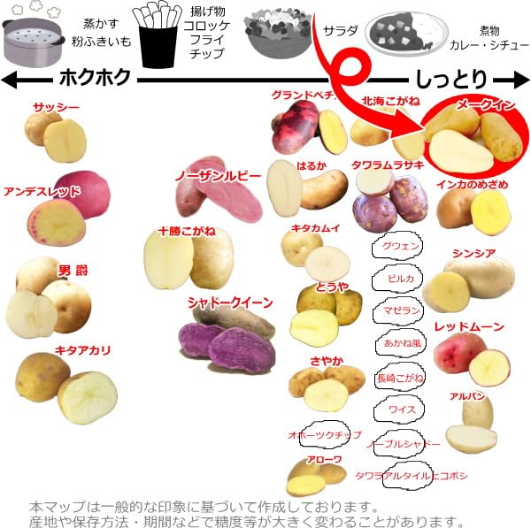 Amazon.co.jp: じゃがいも メークイン 種芋 500g ジャガイモ L～S