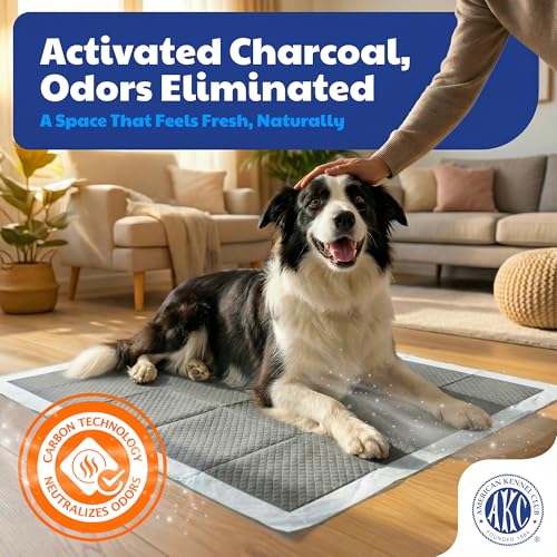 Image of American Kennel Club Carbon-Activated Puppy Training Pads - 50 Count, 28 x 30, XL