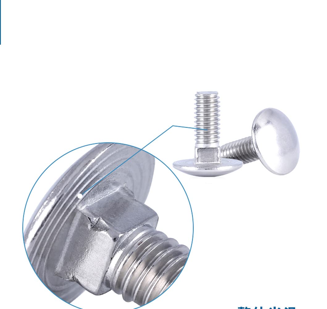 Bulloni for Carrello M10 Acciaio Inossidabile 304, Viti a Collo