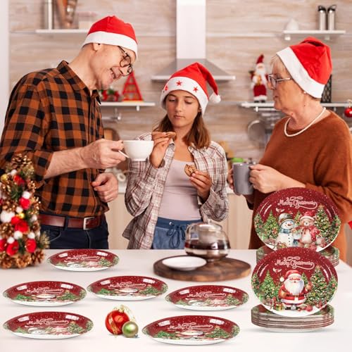Assiettes jetables pour Noël sans vaisselle à faire après le repas du réveillon - 8