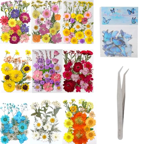 205 piezas de flores secas prensadas para artesanía miniatura 1