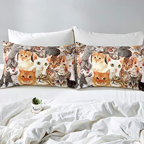 Feelyou Cat Comforter Cover Set Cat Lover Gifts Bedding For Women Cute Kitten Pattern Duvet Cover Set Queen Cat Quilt Cover Kids Bedroom Decor (1 Bedspread Cover + 2 Pillow Shams) Soft Lightweight #TOP2
