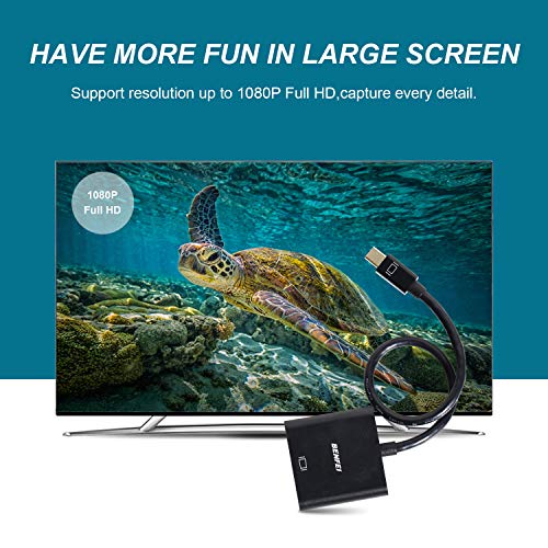 https://m.media-amazon.com/images/I/516L04fry7L._SL500_.jpg