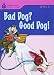 Bad Dog? Good Dog!: Foundations Reading Library 1
