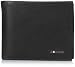 Tommy Hilfiger Men's Lloyd Multi Card Passcase, Black, One Size