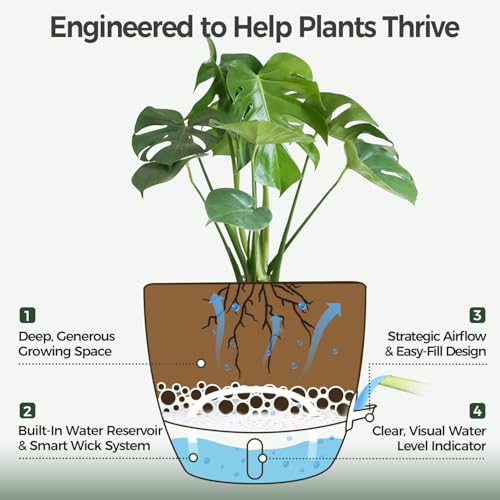 T4U 20cm Self Watering Plant Pots Indoor 2 Pack, Water Level Indicator & Deep Reservoir, Mess-Free Planters for Busy Homes and Beginners, Suitable for Pothos and Snake, Sheltered Outdoor Use(White) - Image 3