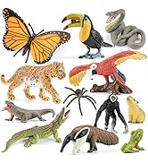 THINKBAY 12PCS Realistic Rainforest Animal Figurines Toys, Rainforest Diorama Supplies Party Favo...
