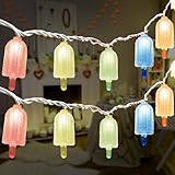 Oviejo Colorful Ice Cream String Light, 8.5FT Gaza Popsicle String Light with 10 Lights, Summer Fairy Night Lights for DIY Home Party, Holiday, Summer Activities Decoration