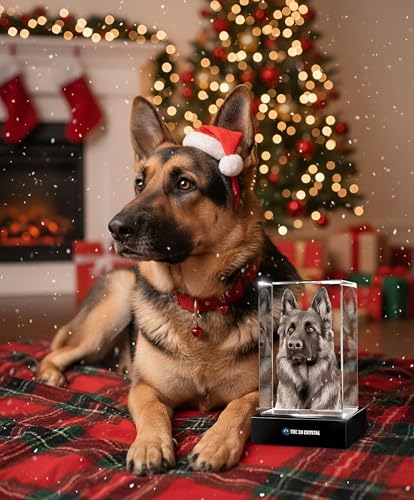 3D Crystal Cube – XXXL Size 5×7 inch Custom Laser Engraved Photo & Text with LED Base Personalized Keepsake for Pet, Family, Child Elegant Display Gift for Wedding, Anniversary, Celebration