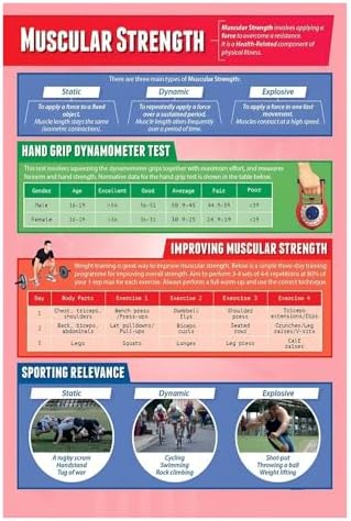 UCGAOIOQ Fitness Training Wall Chart - Muscular Strength Anatomy Poster ...
