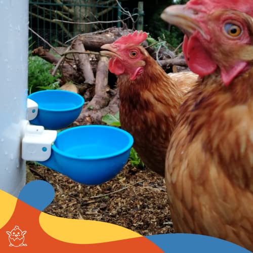 Lil Clucker - Pack Of 5 - Blue Large Automatic Chicken Water Cups - Chicken Waterer Cups Suitable For Ducks, Geese, Turkeys, And Bunny Rabbit - Chicken Water Feeder Kit - Poultry Waterer #TOP6
