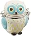 Boston Warehouse Hinged Jar with Floral Owl Design