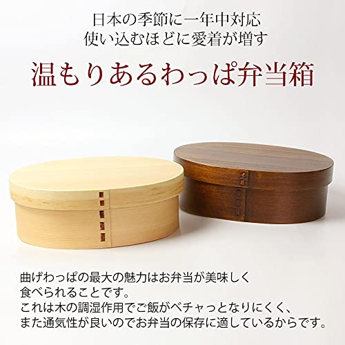 曲げわっぱ　木こり弁当箱？　朱塗り みよし漆器本舗 曲げわっぱ お弁当箱 紀州内朱塗り 700ml 大和型 弁当