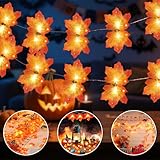 BGIUSQF Ahornblatt Lichterketten 3M, Herbstgirlande Mit Licht, Herbst Lichterkette, 30 Herbstdeko Led, Herbst Dekoration, Erntedankfest Deko, für Halloween Theme Erntedankfest Weihnachtsfeiern