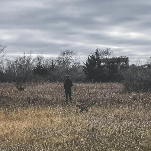 Courtship with music cover art