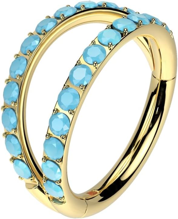 Pierced Owl 16GA ASTM F-136 Implant Grade Titanium Synthetic Turquoise Lined Double Hoop Hinged Segment Clicker Ring