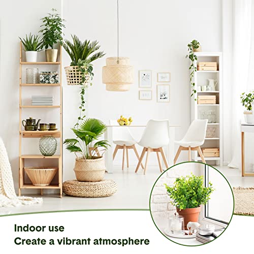 Bundles Outdoor Artificial Boxwood Stems Spring Faux Plants Shrubs Plastic Fake Uv Resistant Greenery Picks For Indoor Outside Farmhouse Home Garden Porch Office Wedding Decor (36 Pcs) #TOP2