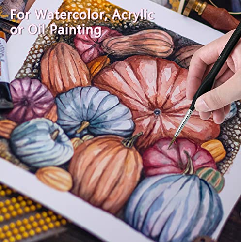 Pennelli Acquerello Donnola Professionali per