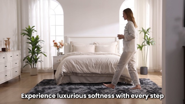 Amazon.com: Andency 8x10 Area Rugs for Living Room, Upgrade Non