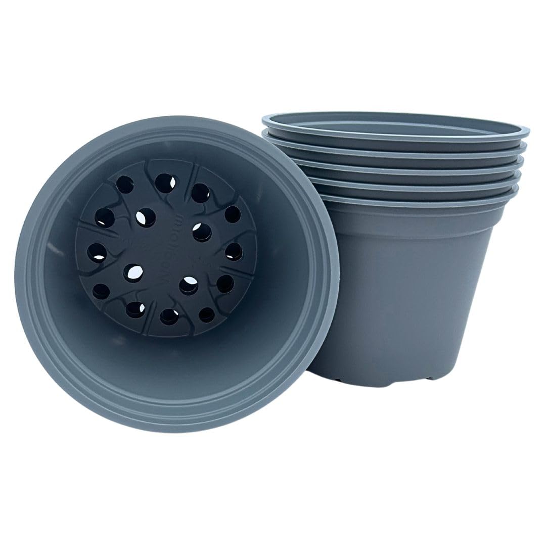 Bramley & Sage Grey 17Cm 2 Litre Plastic Plant Pot (Various Quantities) (20)