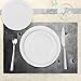 Ambesonne Industrial Place Mats Set of 4, Black Grunge Plate Armour Digital Print Rivets Vintage Theme Print, Washable Fabric Placemats for Dining Table, Standard Size, Black Silver
