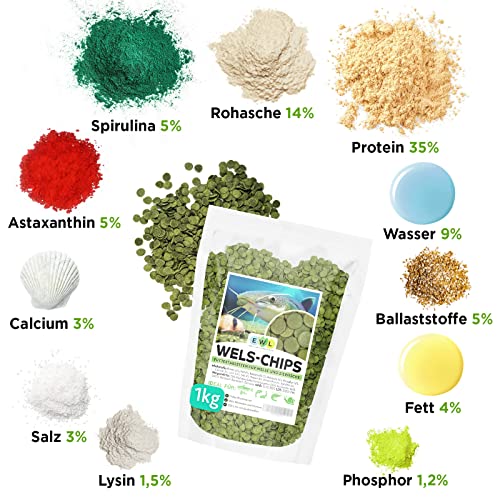 Wels Futtertabletten 1kg (ca. 2ltr.) XL Pack, Welsfutter, Wels Chips mit Spirulina, Fischfutter Aquarium, Welstabletten, geprüfte Qualität von deutschem Anbieter – Bild 3