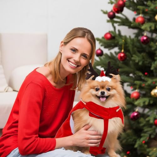 Disfraz para perro Santa Claus 2 piezas tamaño medio miniatura 4
