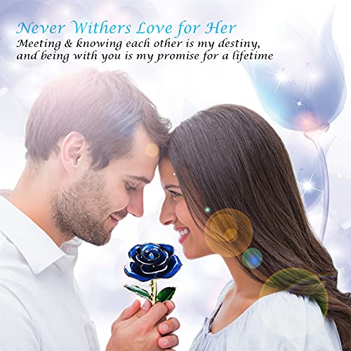 Image of Sinvitron Gold Dipped Infinity Rose Forever Flower Decor, Resin Preserved Real Rose Birthday Gift for Women, Anniversary Present for Mom (Deep Blue)