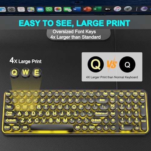 QUASIO Large Print Backlit Keyboard LPK66 の商品画像 1